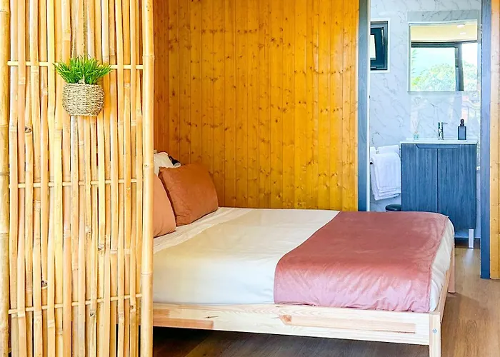 Betula - Pichoses - Geres * 리오칼도